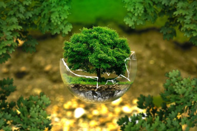 Earth Day, Earth Day 2017, Earth Day facts, Earth Day information, Environmental Protection Agency, Clean Air Act, Vangel, #earthdayfacts, reader submissions, Peace Bell Ceremony
