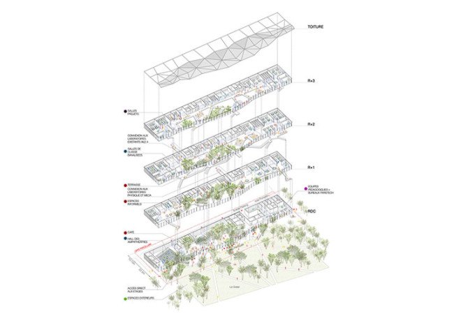 Ecole Polytechnique learning center, Sou Fujimoto Architects, Manal Rachdi OXO Architects, Nicolas Laisné Associates, learning center, glass facade, atrium, indoor graden, green spaces, green architecture, informal spaces