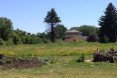Boston Nature Center, Boston Food Forest, Urban Agriculture, Ecological Farming,