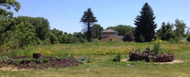 Boston Nature Center, Boston Food Forest, Urban Agriculture, Ecological Farming,