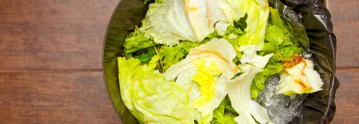 food waste, food bank, borderlands, hunger relief, discarded vegetables, vegetable inspections, healthy food, vegetable farming