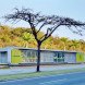 Gustavo Penna Arquiteto & Associados, bus stop, green transportation, glass facade, modular design, modular architecture, green infrastructure, metal facade, perforated facade, disabled access, design for disabled, Gustavo Penna