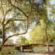 MAP, MAP Telesis, Metropolitan Architectural Practice, Telesis v2.0, redwood architecture, redwood ceiling, open air design, indoor outdoor design, green renovations, mid century homes, post war homes, post war home renovation