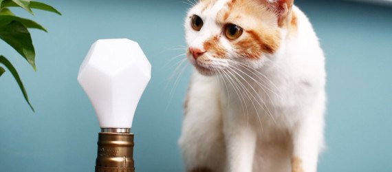 Nanoleaf, Nanoleaf Gem, nanoleaf, nanoleaf gem, Nanoleaf LED, LED bulb, LED lights, LED lightbulb, Nanoleaf Bloom, LED light bulbs, Gem light bulb, energy efficient lighting