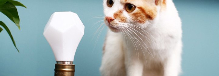 Nanoleaf, Nanoleaf Gem, nanoleaf, nanoleaf gem, Nanoleaf LED, LED bulb, LED lights, LED lightbulb, Nanoleaf Bloom, LED light bulbs, Gem light bulb, energy efficient lighting