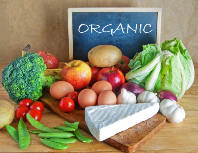 monarch butterflies, monarch, butterflies, monarchs, monarch butterfly larvae, monarch habitat, monarch butterfly extinction, endangered butterflies, organic food, non-GMO food