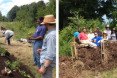 Food Forest, Boston Food Forest, Compost, Boston Urban Farm, Hugulkultur, Community Agriculture, Resilient Communities,