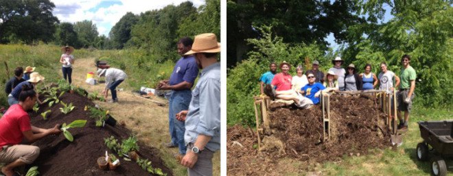 Food Forest, Boston Food Forest, Compost, Boston Urban Farm, Hugulkultur, Community Agriculture, Resilient Communities,