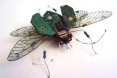 Computer Component Bugs, Julie Alice Chappell, upcycled sculpture, upcycled electronics, environmental art, insect sculptures, e-waste, electronic waste, discarded electronic art,