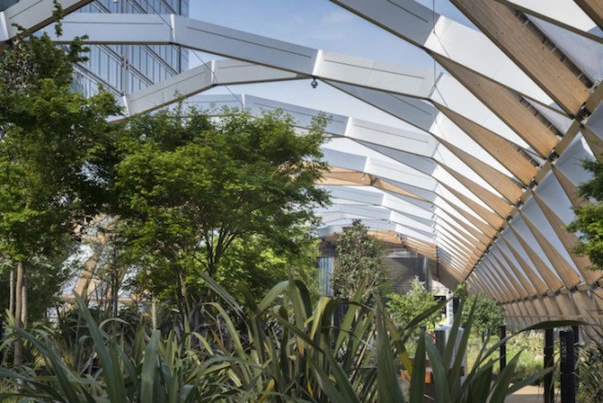 Canary Wharf, Crossrail Place, financial district, rooftop garden, Gillepsies, green design, sustainable design, sustainable transportation, London, UK, indigenous plants, ETFE cushions, ETFE plastic, timber, public garden London, Foster & Partners