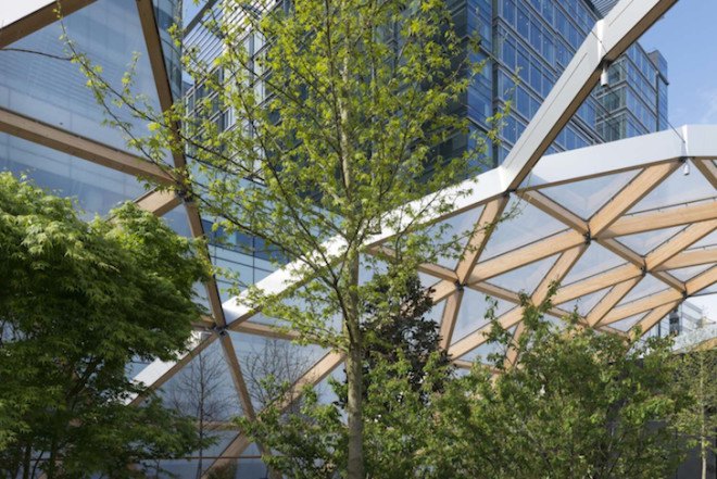 Canary Wharf, Crossrail Place, financial district, rooftop garden, Gillepsies, green design, sustainable design, sustainable transportation, London, UK, indigenous plants, ETFE cushions, ETFE plastic, timber, public garden London, Foster & Partners