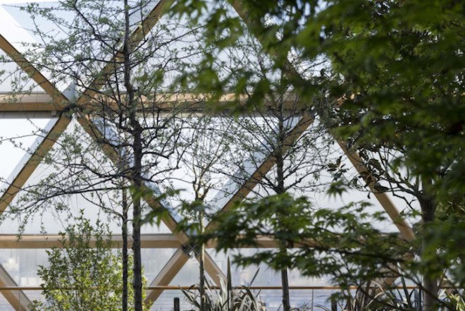 Canary Wharf, Crossrail Place, financial district, rooftop garden, Gillepsies, green design, sustainable design, sustainable transportation, London, UK, indigenous plants, ETFE cushions, ETFE plastic, timber, public garden London, Foster & Partners