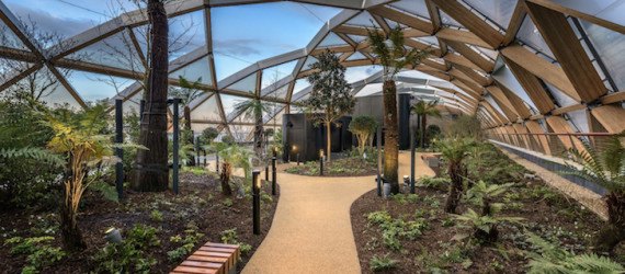 Canary Wharf, Crossrail Place, financial district, rooftop garden, Gillepsies, green design, sustainable design, sustainable transportation, London, UK, indigenous plants, ETFE cushions, ETFE plastic, timber, public garden London, Foster & Partners