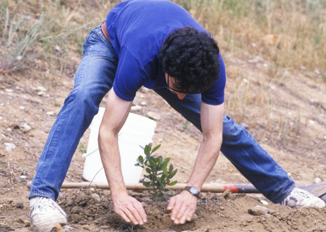 Tree-planting, planting trees, Earth Day, Earth Day 2015, Earth Day facts, Earth Day information, Environmental Protection Agency, Clean Air Act, Vangel, #earthdayfacts, reader submissions, Peace Bell Ceremony