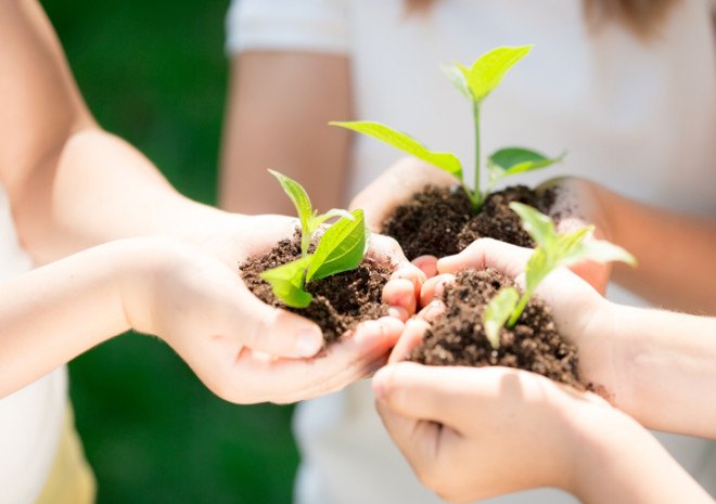 Planting tree seedlings, Earth Day, Earth Day 2015, Earth Day facts, Earth Day information, Environmental Protection Agency, Clean Air Act, Vangel, #earthdayfacts, reader submissions, Peace Bell Ceremony