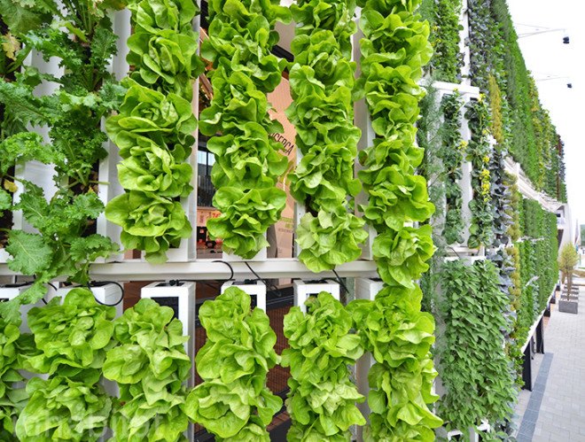Biber Architects, USA Pavilion, milan expo, world expo, 2015 world expo, world expo 2015, milan world expo, green architecture, sustainable architecture, green wall, living wall, vertical farm, American Food 2.0: United to Feed the Planet, American Food 2.0, sustainable agriculture, sustainable food, US Pavilion