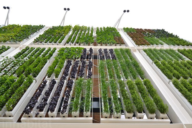 Biber Architects, USA Pavilion, milan expo, world expo, 2015 world expo, world expo 2015, milan world expo, green architecture, sustainable architecture, green wall, living wall, vertical farm, American Food 2.0: United to Feed the Planet, American Food 2.0, sustainable agriculture, sustainable food, US Pavilion