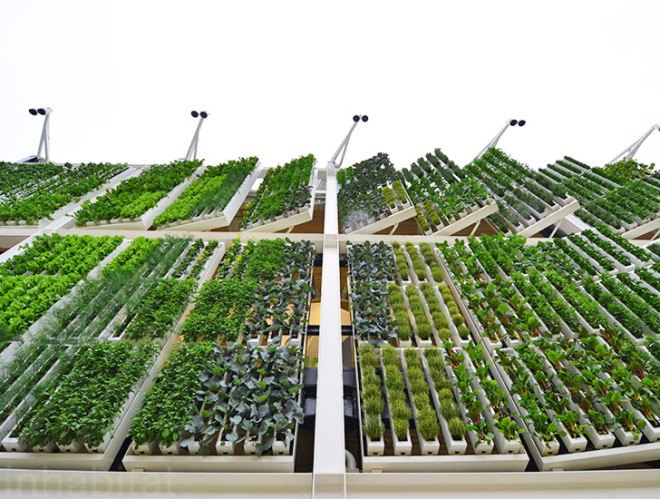 Biber Architects, USA Pavilion, milan expo, world expo, 2015 world expo, world expo 2015, milan world expo, green architecture, sustainable architecture, green wall, living wall, vertical farm, American Food 2.0: United to Feed the Planet, American Food 2.0, sustainable agriculture, sustainable food, US Pavilion
