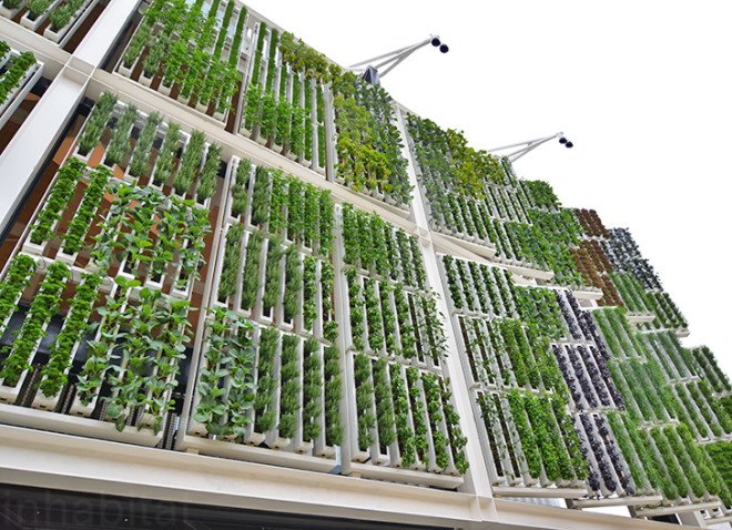 Biber Architects, USA Pavilion, milan expo, world expo, 2015 world expo, world expo 2015, milan world expo, green architecture, sustainable architecture, green wall, living wall, vertical farm, American Food 2.0: United to Feed the Planet, American Food 2.0, sustainable agriculture, sustainable food, US Pavilion