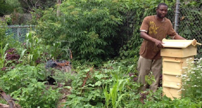 Food Forest, Backyard Gardening, Permaculture Design, Exotic Fruits, Boston Urban Agriculture