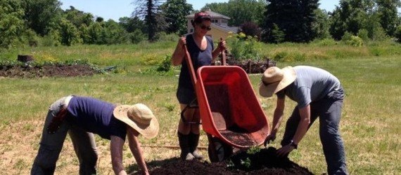 Community Garden, Community Agriculture, Urban Agriculture, Work Day, Permaculture,
