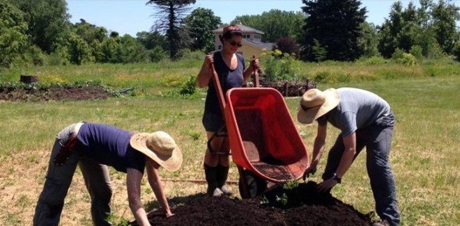 Community Garden, Community Agriculture, Urban Agriculture, Work Day, Permaculture,