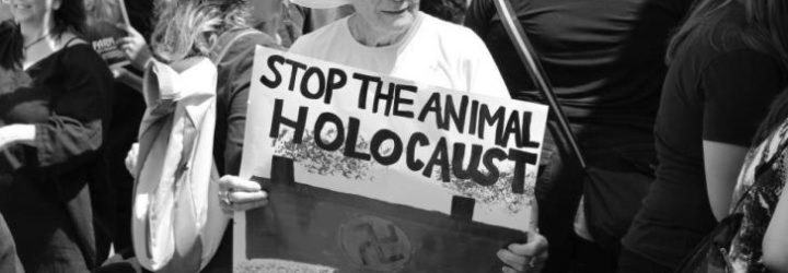 NYC Animal Holocaust Procession, animal cruelty, Holocaust Remembrance Day, NYC Holocaust events, Shimon Shuchat, animal protection protests, PETA events, Farm Animal Rights Movement, animal rights, nyc animal rights,