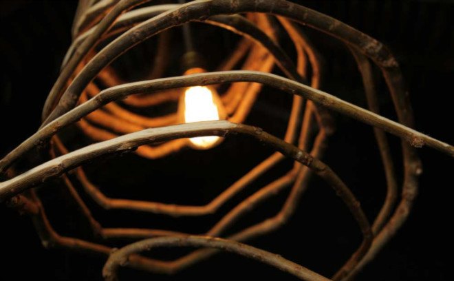 furniture, grown furniture, furniture grown in field, gavin munro, full circle furniture, furniture grown like crops, crop grown furniture, art furniture, green furniture building, furniture design, table design, chair design, grown chairs, grown tables, tree lamps, tree chairs, tree tables