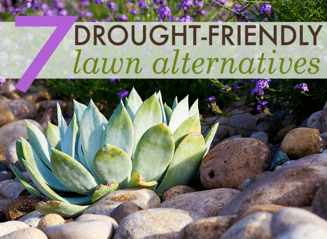 california drought, xeriscaping, sustainable gardening, drought-friendly gardening, landscape design, drought-friendly landscaping, cactus gardens, cacti, succulent garden, rock pavers, sagebrush, eco-friendly lawn alternatives, water-saving lawn alternatives, xeriscaping, landscaping, garden, drought, low water, sustainable, green, cactus, agave, desert
