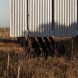 Alric Galindez, RM House, house on stilts, grassy Pampas, glazed facade, natural light, Mar de Ajó, floating house