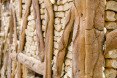 Universal Exhibition at Milan, La Triennale di Milano museum, Milan Expo, World Expo, World Expo Milan, World Expo Milan 2015, Milan Expo 2015, 2015 Milan fair, bread house, breadcrumb house, Urs Fischer,