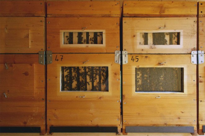 Bienenhaus #3, Massimiliano Dell'Olivo, bees, beekeeping, bee hives, apiary, honey, honeybees, wooden structure, Italy, Alps, small structures