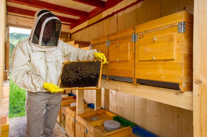 Bienenhaus #3, Massimiliano Dell'Olivo, bees, beekeeping, bee hives, apiary, honey, honeybees, wooden structure, Italy, Alps, small structures