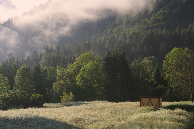 Bienenhaus #3, Massimiliano Dell'Olivo, bees, beekeeping, bee hives, apiary, honey, honeybees, wooden structure, Italy, Alps, small structures