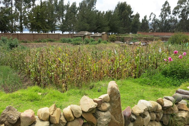 Ecolodge del Lago, Copacabana, Lake Titikaka, Adobe house, Lak'a Uta Architecture, Bolivia, vegetable garden, stepped terrace, green wall, solar water heater, stone sculptures