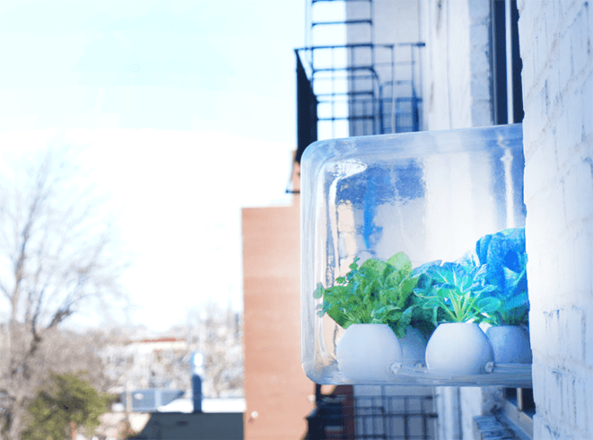 green design, eco design, sustainable design, Cloud Farm, Bradley Ferrada, Nimbus and Biome, kitchen garden, apartment garden, hydroponic garden