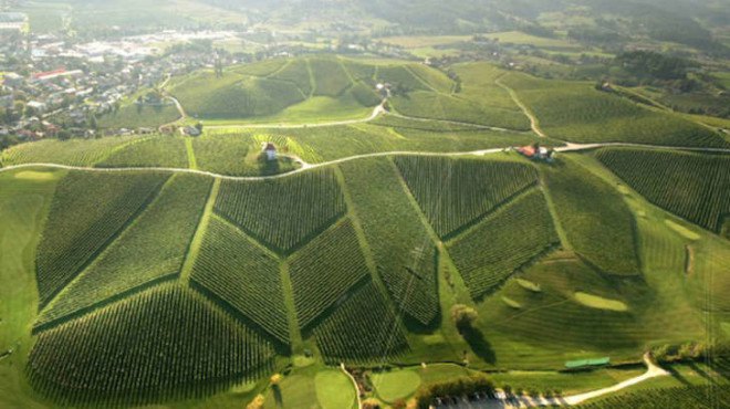 green design, sustainable design, slovenia, house for a doctor, metal-clad home, vineyards, natural lighting, passive solar design, green architecture, scapelab