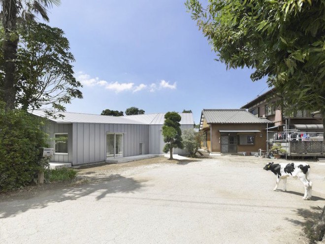 dairy farmer’s house, moo-flat design, dairy’s farmer house by moo-flat design, Galvalume, Sodegaura, steel clad architecture, Miki Okuno, contemporary house, open plan,