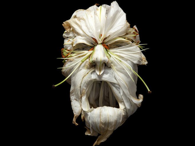 green design, eco design, sustainable design , Arcimboldo, Darth Vader, Star Wars, Klaus Enrique, organic sculptures