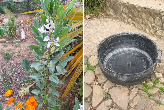 Bolivia, Kasa Cultural Sol y Luna, eco-friendly accommodation, Lake Titicaca, recycled materials, dry toilet, rainwater collection system, solar water heater, vegetable garden, empowering women, Libertad,