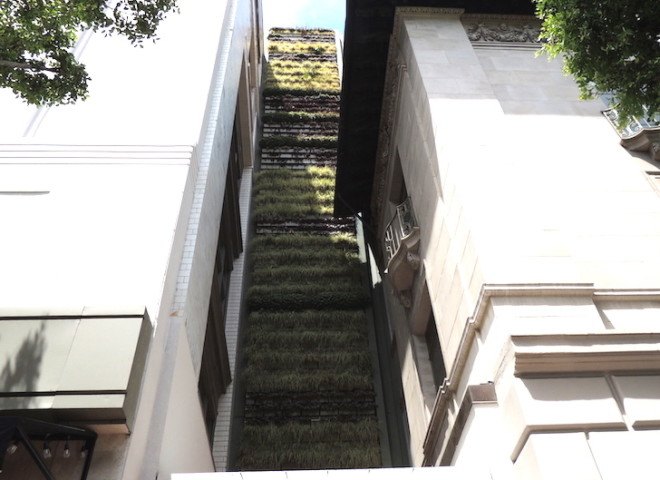 Pitchoun Bakery, PacMutual Campus, Los Angeles, vertical wall, green wall, living wall, vertical green wall, Los Angeles green space, downtown Los Angeles, Rising Realty Partners