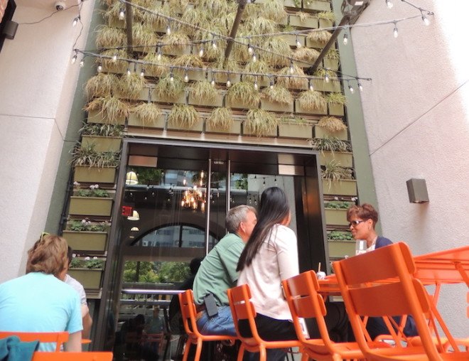 Pitchoun Bakery, PacMutual Campus, Los Angeles, vertical wall, green wall, living wall, vertical green wall, Los Angeles green space, downtown Los Angeles, Rising Realty Partners