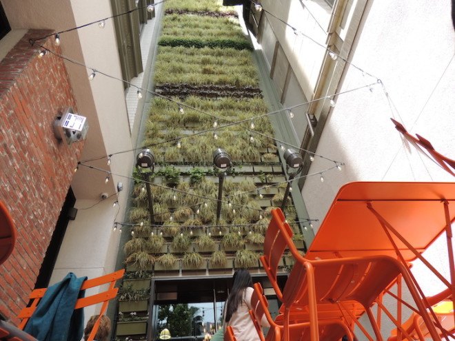 Pitchoun Bakery, PacMutual Campus, Los Angeles, vertical wall, green wall, living wall, vertical green wall, Los Angeles green space, downtown Los Angeles, Rising Realty Partners