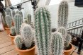 Mexico Pavilion, Milan Expo 2015, green design, sustainable design, green architecture, italy, photos, mexican food, natural light, shade, prefabricated, recyclable, gastronomy, culture, history