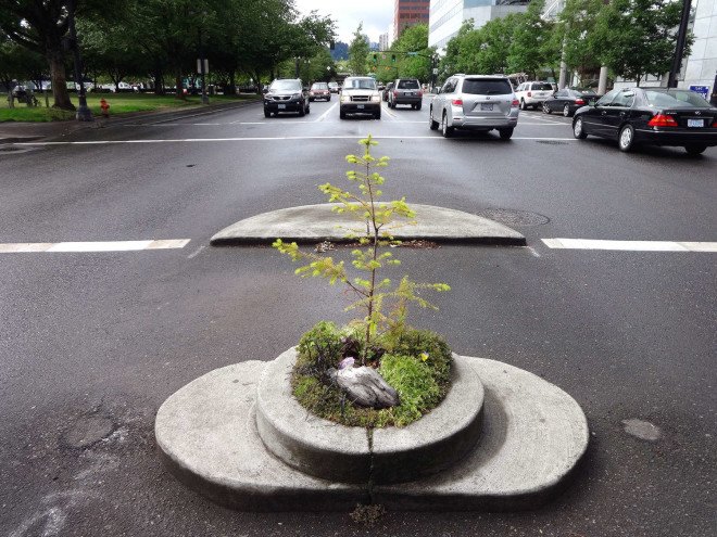 Mill Ends Park, world's smallest park, Portland, Oregon, parklet, public spaces, urban design, park, green cities, mini-park, tiny spaces, leprechaun