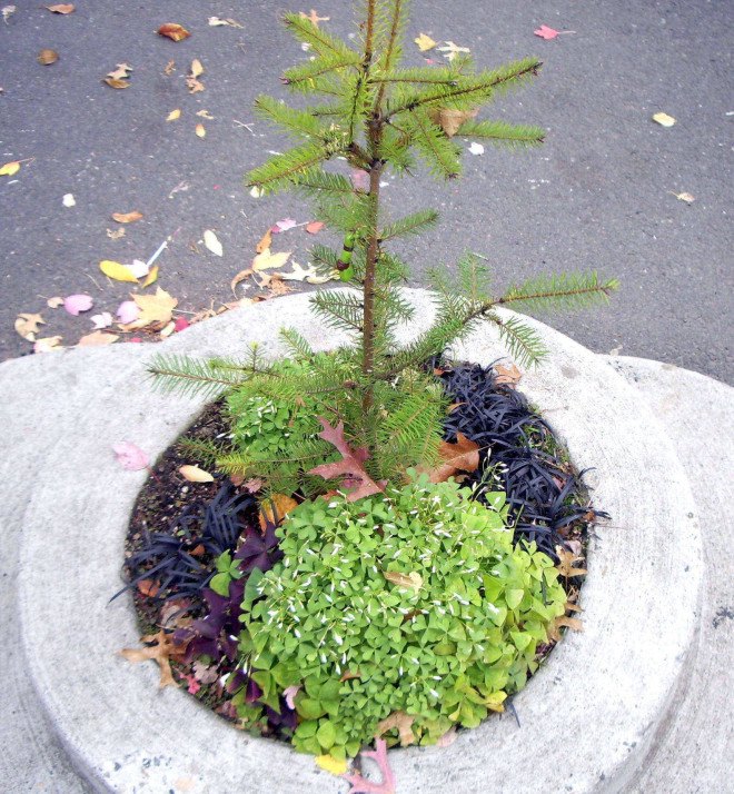 Mill Ends Park, world's smallest park, Portland, Oregon, parklet, public spaces, urban design, park, green cities, mini-park, tiny spaces, leprechaun