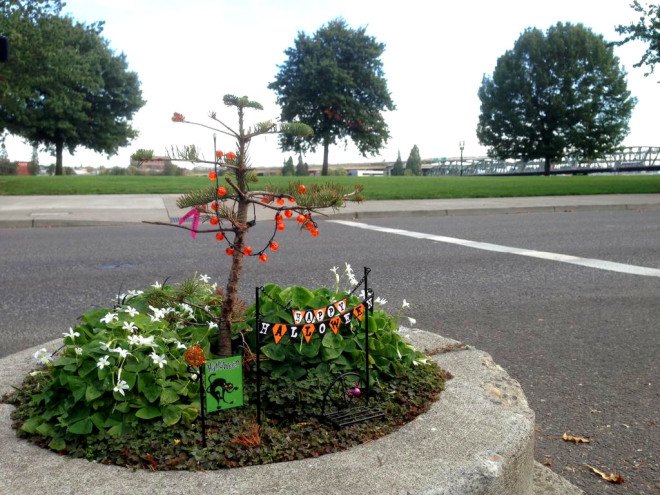 Mill Ends Park, world's smallest park, Portland, Oregon, parklet, public spaces, urban design, park, green cities, mini-park, tiny spaces, leprechaun