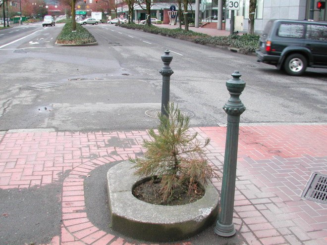 Mill Ends Park, world's smallest park, Portland, Oregon, parklet, public spaces, urban design, park, green cities, mini-park, tiny spaces, leprechaun