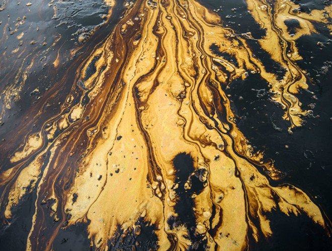 oil spill, oil slick, environmental disaster, santa barbara oil, refugio state beach oil, oil pipeline crack, channel islands national marine sanctuary, sea life oil, california oil, california energy, california wildlife