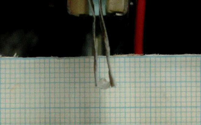 onion tweezer, artificial muscle, onion muscle